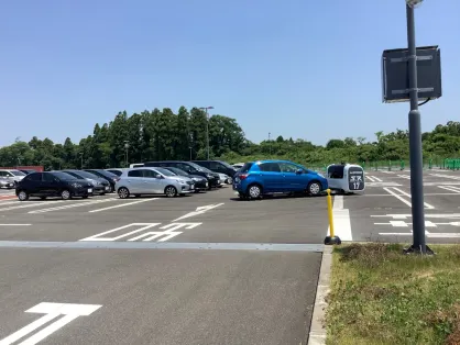 카지노 스파이스 빙고 모바일 앱